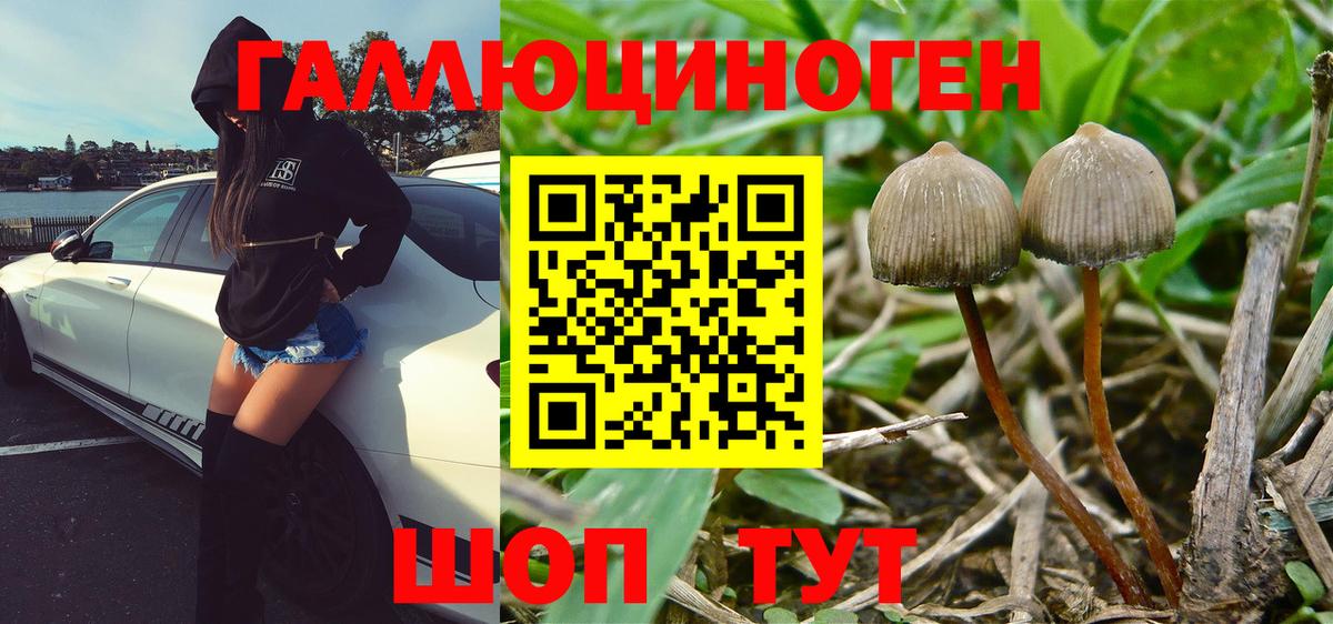 Тулун  Галлюциногенные грибы MAGIC MUSHROOMS  Вход с VPN 